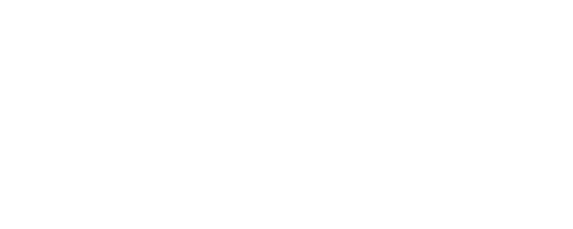 BGS — Beratergruppe Strategie
